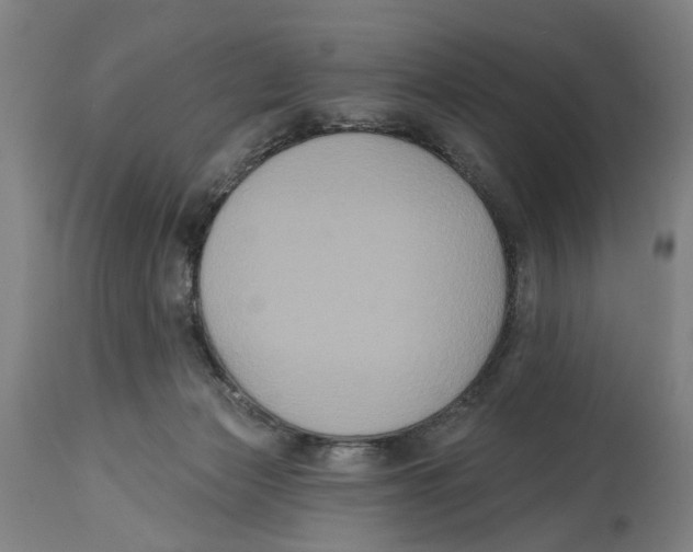 X0000114580173200911161317