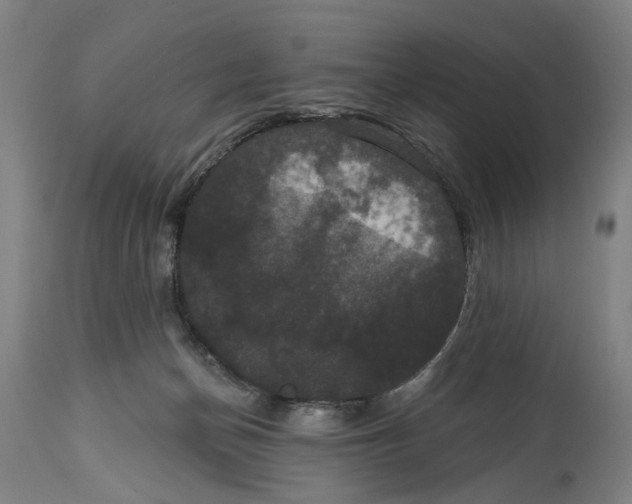 X0000114580174200911161317