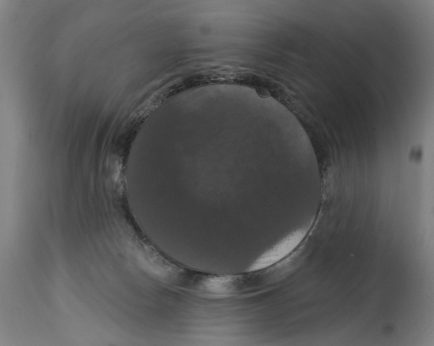 X0000114580178200911161317