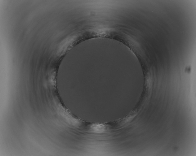 X0000114580181200911161317