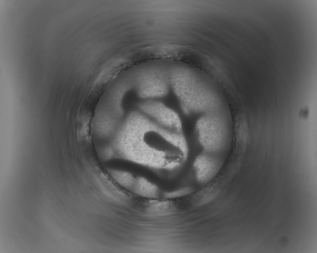 X0000114580185200911161317