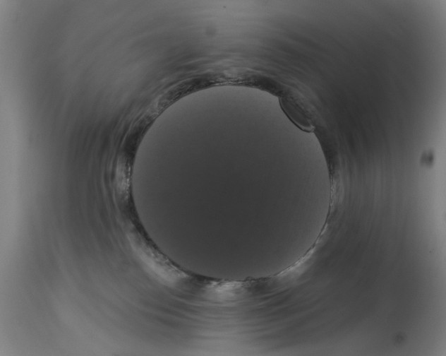 X0000114580186200911161317