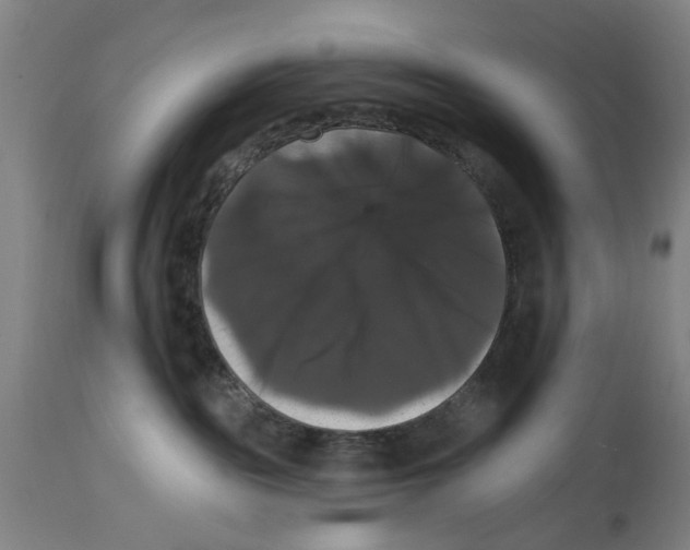 X0000114580189200911161317