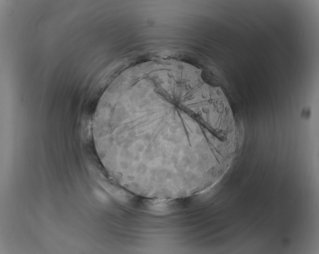 X0000114580191200911161317