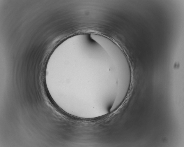 X0000114580193200911161317