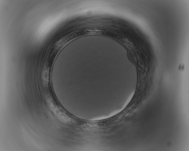 X0000114580194200911161317