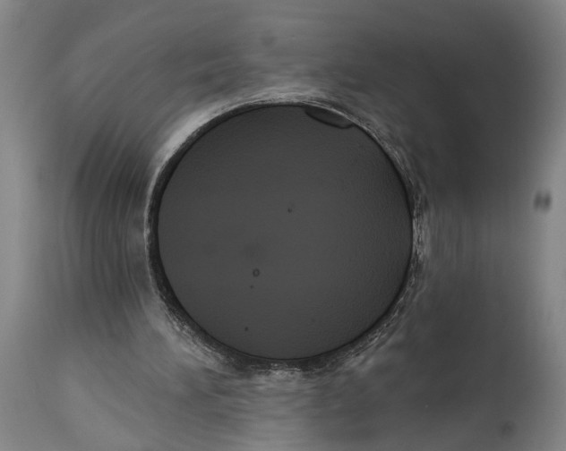 X0000114580196200911161317