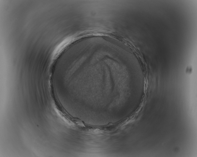 X0000114580197200911161317