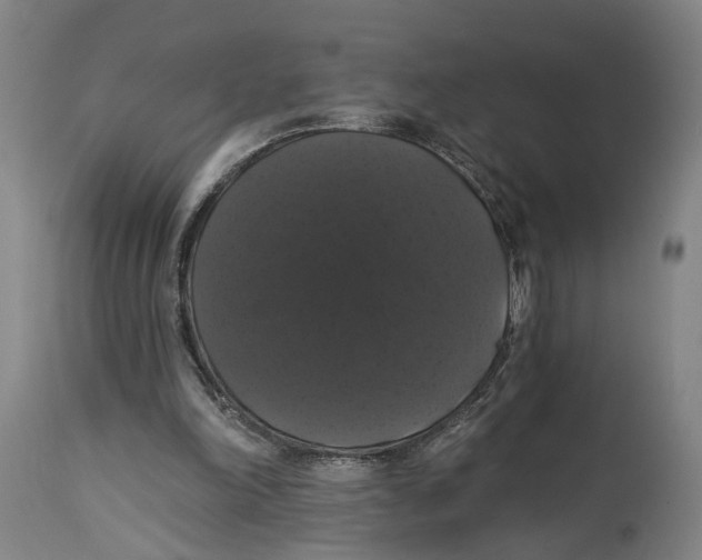 X0000114580198200911161317