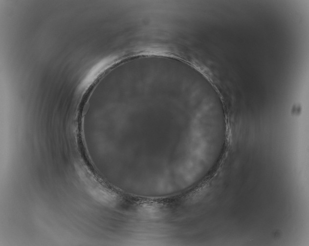 X0000114580199200911161317