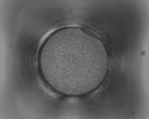 X0000114580200200911161317