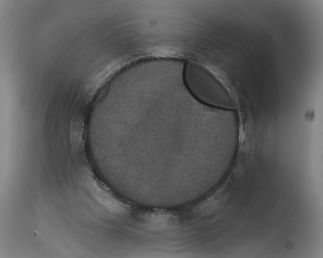 X0000114580201200911161316