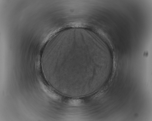 X0000114580202200911161316