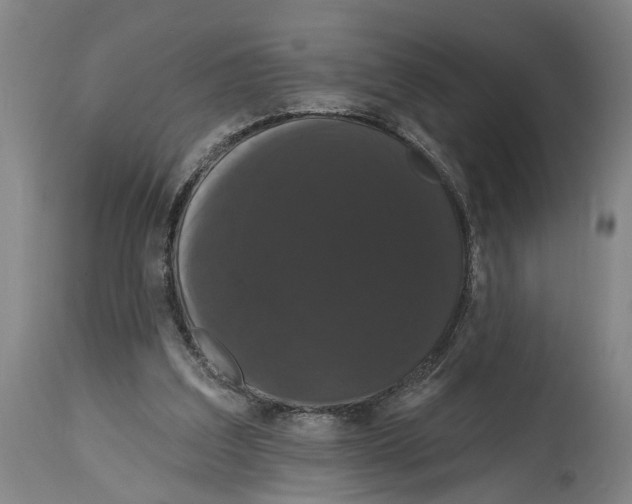 X0000114580203200911161316