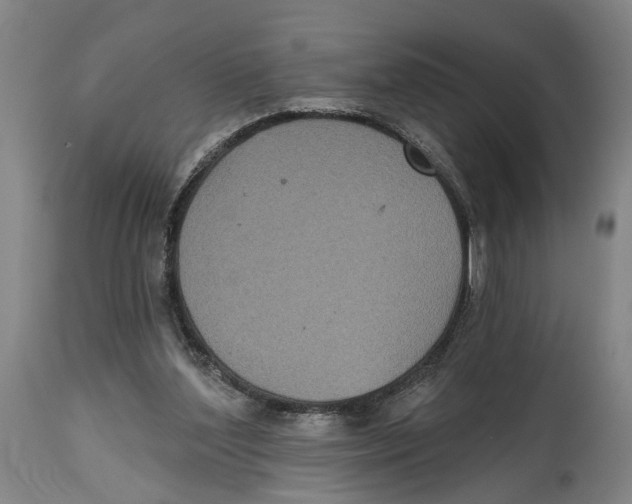 X0000114580204200911161316