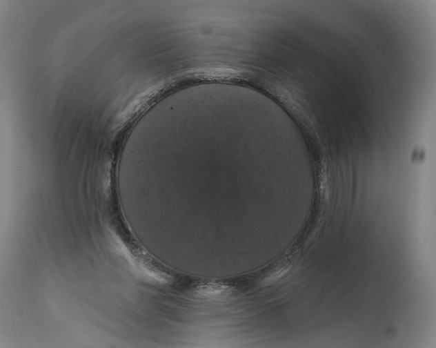 X0000114580206200911161316