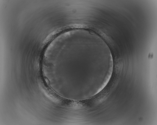 X0000114580207200911161316