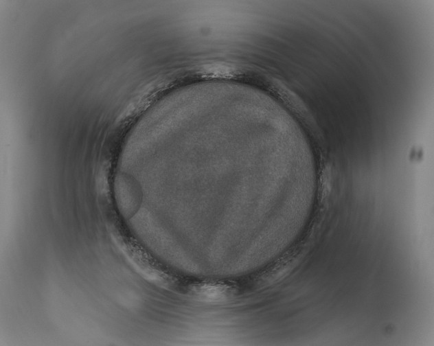 X0000114580209200911161316