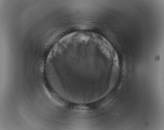 X0000114580210200911161316