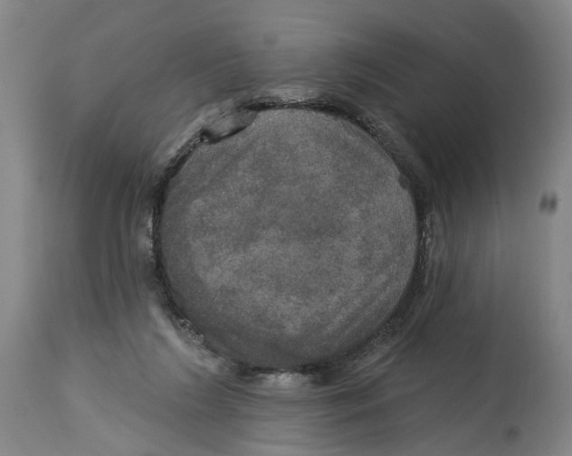 X0000114580212200911161316