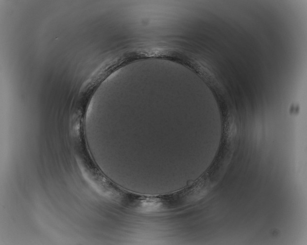 X0000114580214200911161316