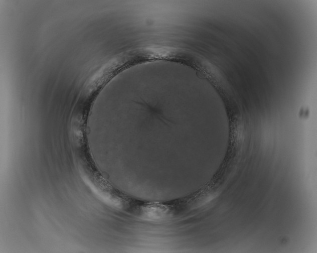 X0000114580215200911161316