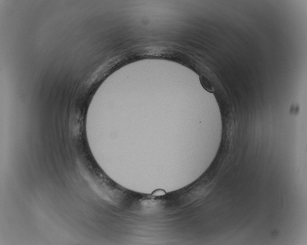 X0000114580216200911161316