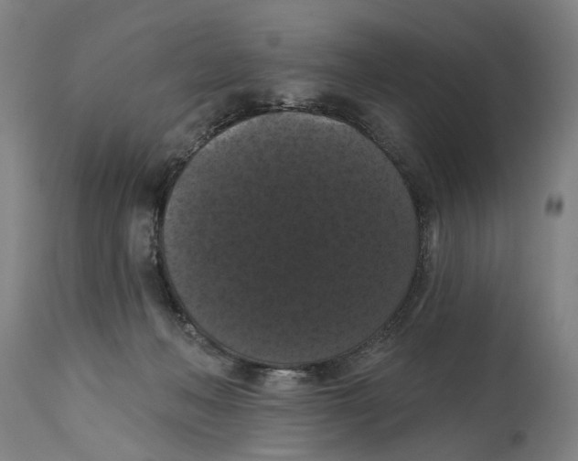 X0000114580222200911161316