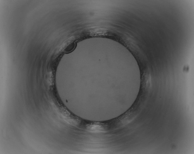 X0000114580224200911161316