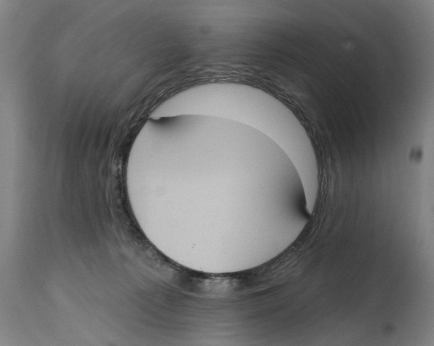 X0000114580225200911161316