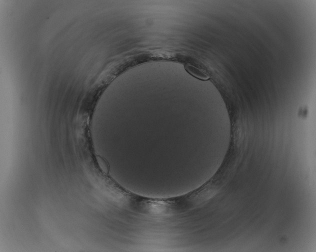 X0000114580229200911161316