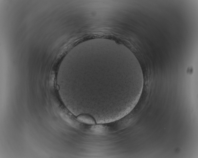 X0000114580231200911161316