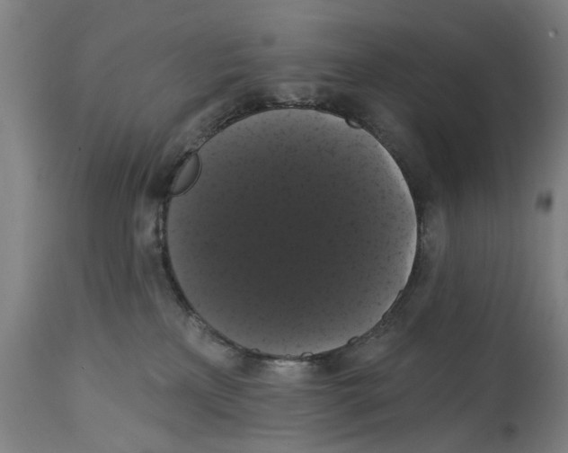 X0000114580233200911161316