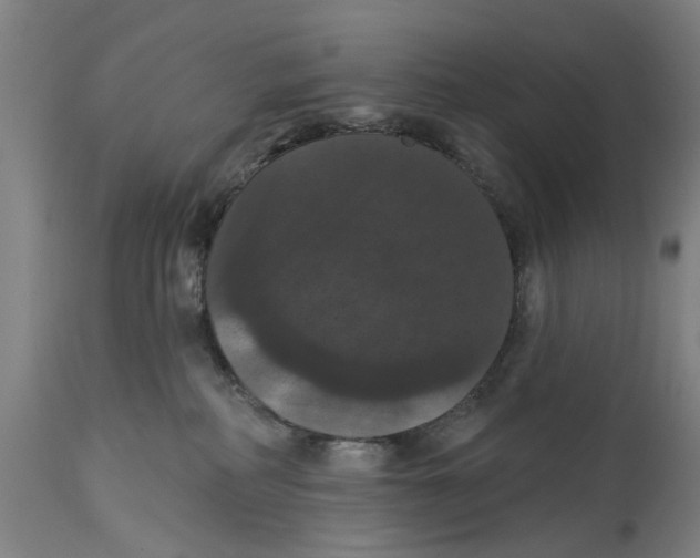 X0000114580234200911161316