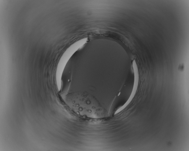 X0000114580235200911161316