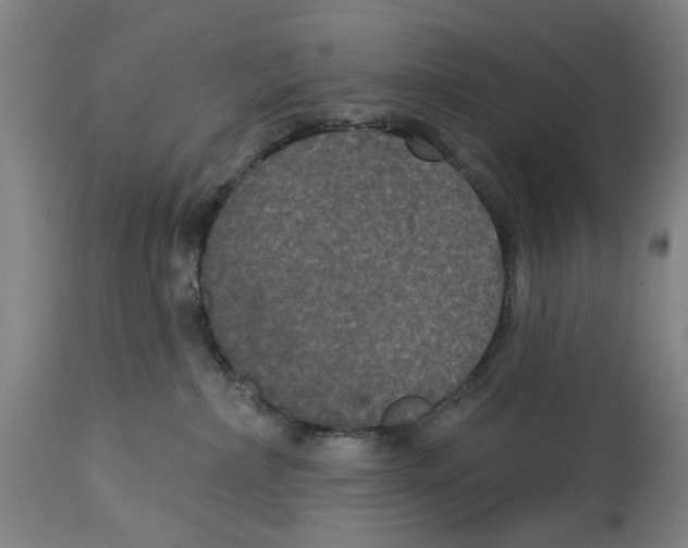 X0000114580236200911161316