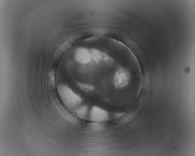 X0000114580238200911161316