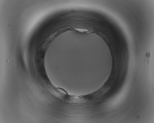 X0000114580239200911161316