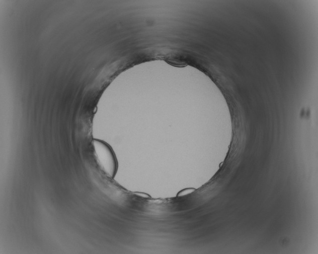 X0000114580240200911161316