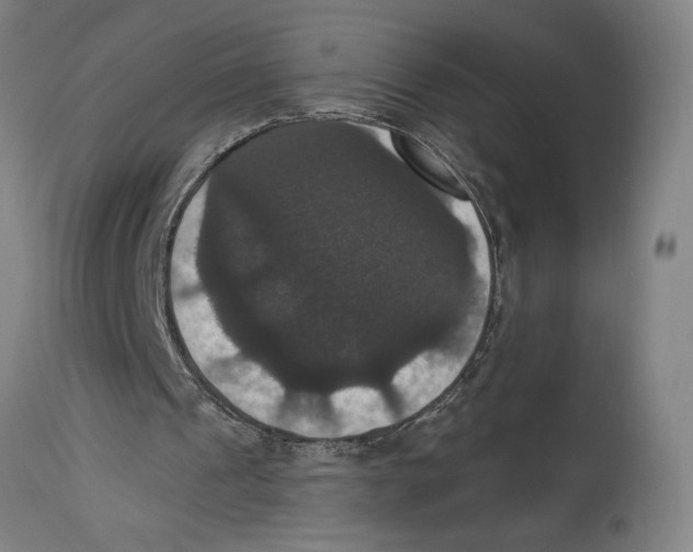 X0000114580241200911161315