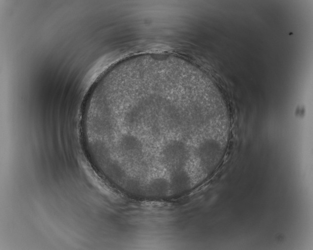 X0000114580242200911161315