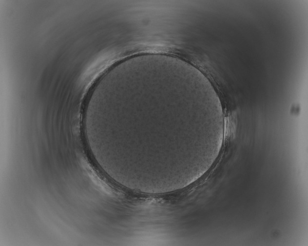 X0000114580243200911161315