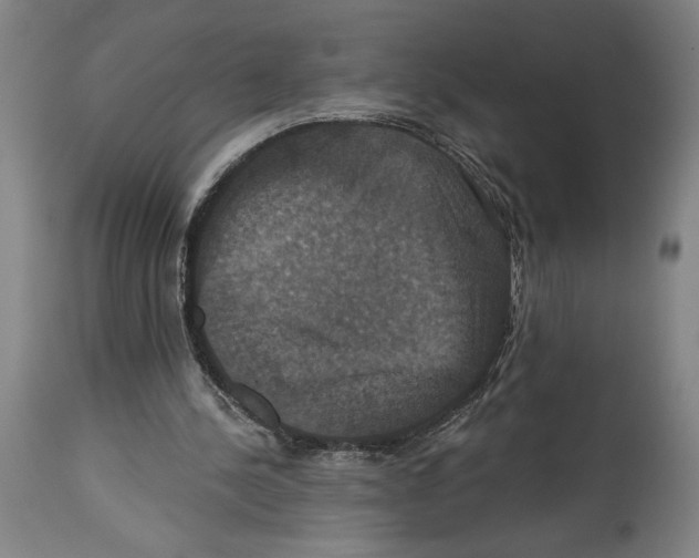 X0000114580244200911161315