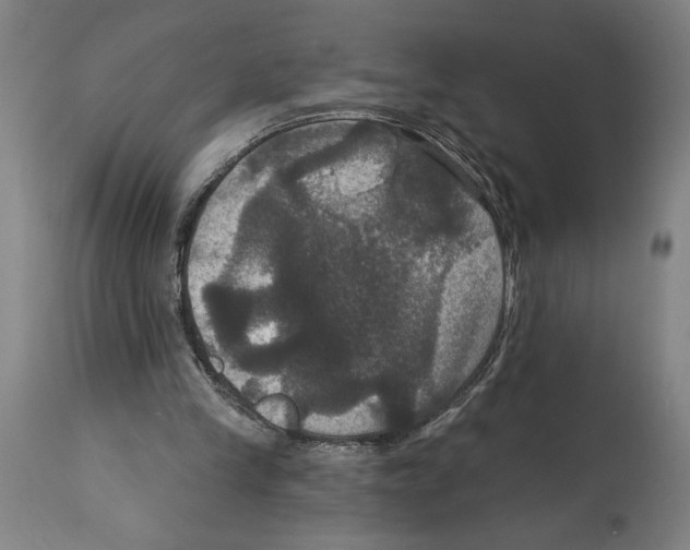 X0000114580245200911161315