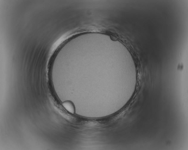 X0000114580246200911161315