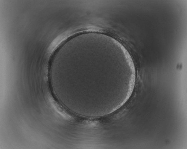 X0000114580247200911161315