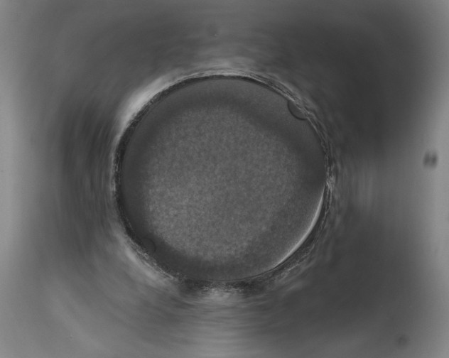 X0000114580248200911161315