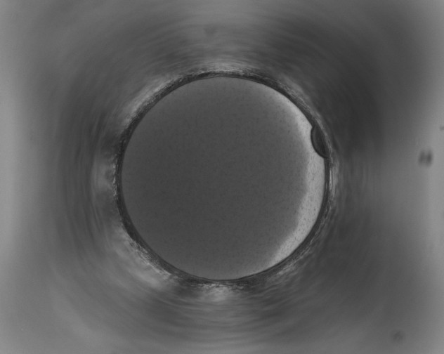 X0000114580249200911161315