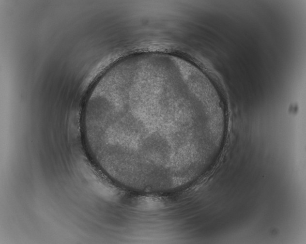 X0000114580250200911161315