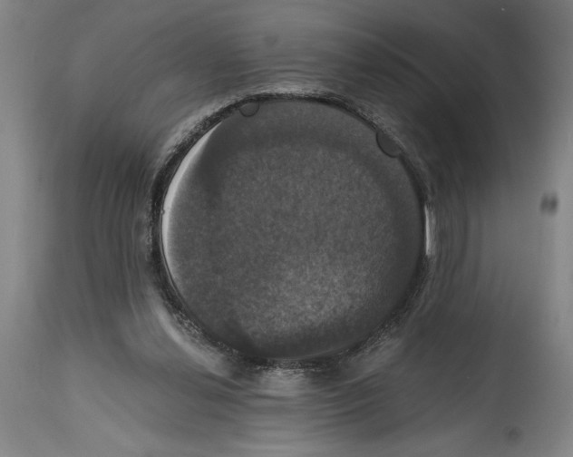 X0000114580252200911161315